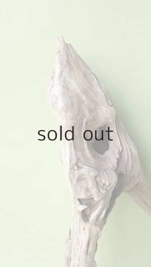 画像3: 変形流木