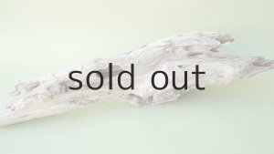 画像5: 変形流木