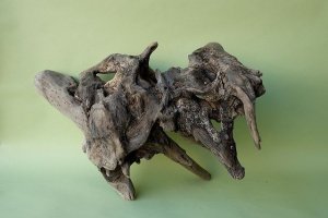 画像9: 流木根（中型）