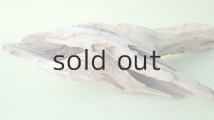 画像7: 変形流木