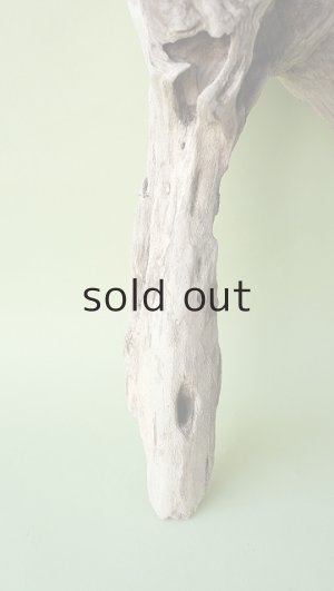 画像2: 変形流木