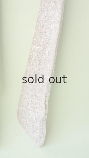 画像4: 板流木セット