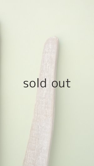 画像5: 板流木セット