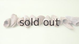 画像6: 変形流木セット