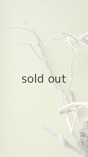 画像5: 流木根（中型）