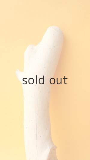 画像3: 小枝流木セット