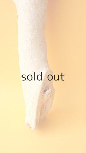 画像2: 小枝流木セット