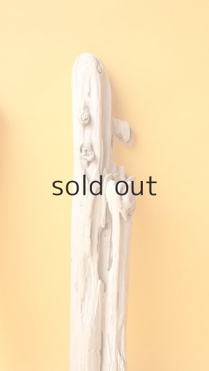 画像5: 小枝流木セット