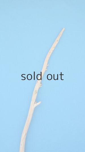 画像4: 棒流木・長尺