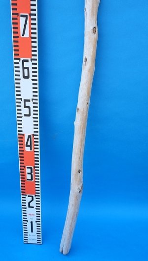 画像5: 棒流木・長尺
