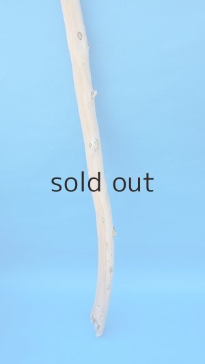 画像2: 棒流木・長尺