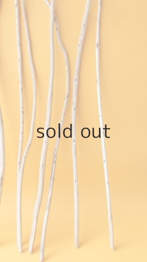 画像6: 棒流木セット