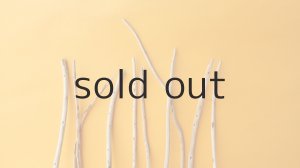 画像4: 棒流木セット