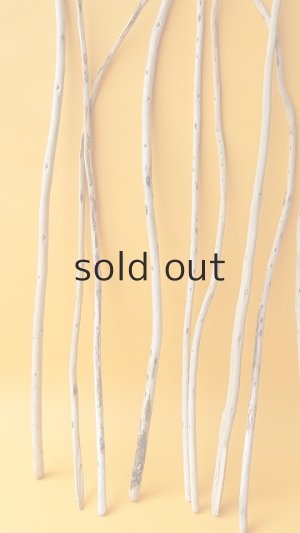 画像5: 棒流木セット