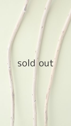 画像3: 棒流木セット