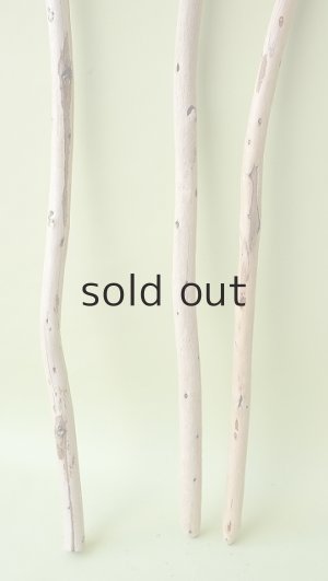 画像2: 棒流木セット