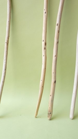 画像2: 棒流木セット