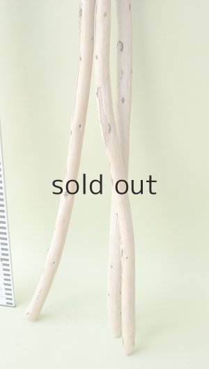 画像5: 棒流木セット