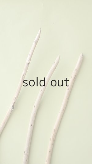 画像4: 棒流木セット