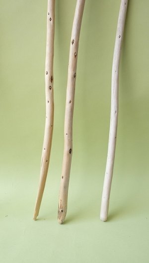 画像3: 棒流木セット