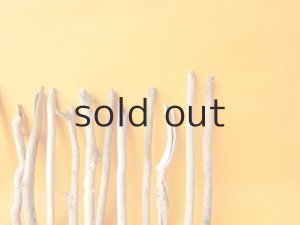 画像7: 小枝流木セット