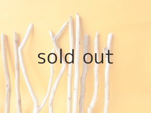 画像7: 小枝流木セット