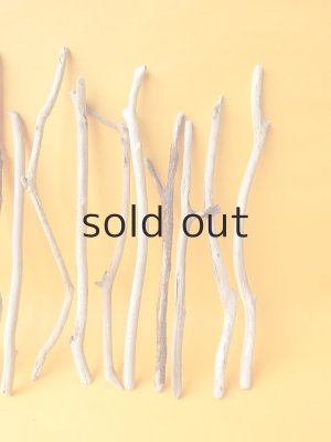 画像4: 小枝流木セット