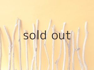 画像6: 小枝流木セット