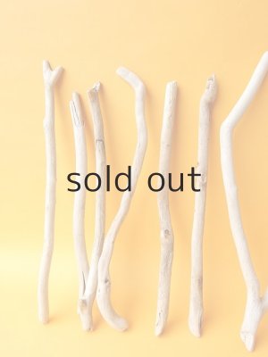 画像2: 小枝流木セット