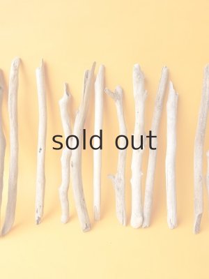 画像3: 小枝流木セット