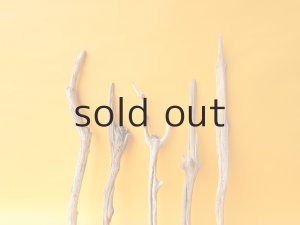 画像3: 小枝流木セット