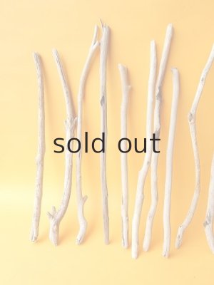 画像2: 小枝流木セット