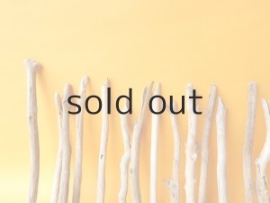 画像6: 小枝流木セット