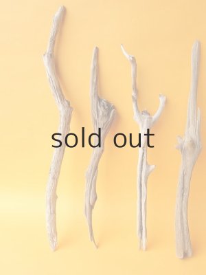 画像4: 小枝流木セット