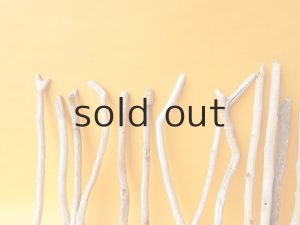 画像6: 小枝流木セット