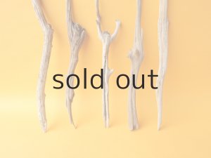 画像2: 小枝流木セット