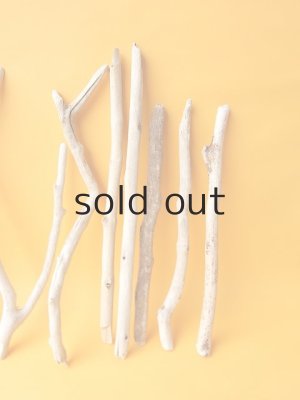 画像4: 小枝流木セット