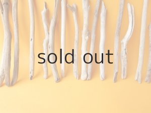 画像5: 小枝流木セット