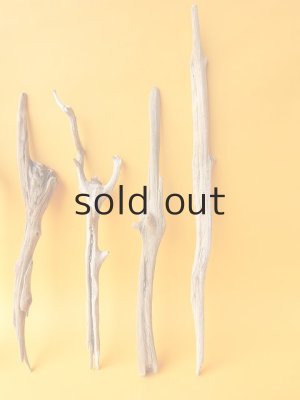 画像5: 小枝流木セット