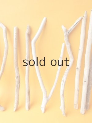 画像3: 小枝流木セット