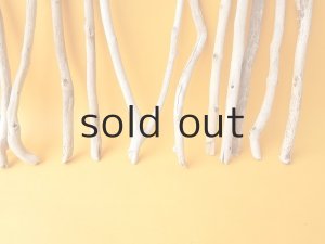 画像5: 小枝流木セット