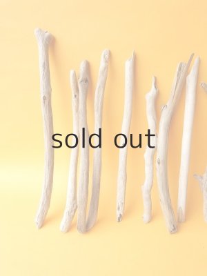 画像2: 小枝流木セット