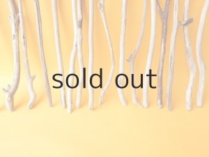 画像5: 小枝流木セット