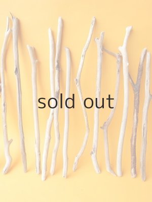 画像3: 小枝流木セット