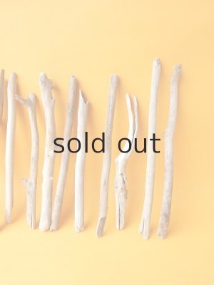 画像4: 小枝流木セット