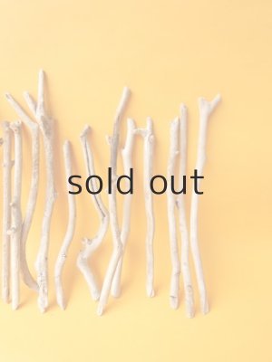 画像4: 小枝流木セット