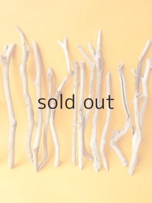 画像3: 小枝流木セット