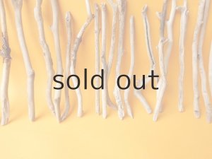 画像5: 小枝流木セット