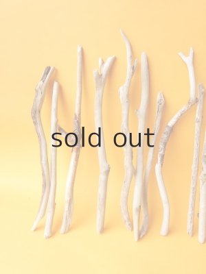 画像2: 小枝流木セット