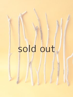 画像2: 小枝流木セット